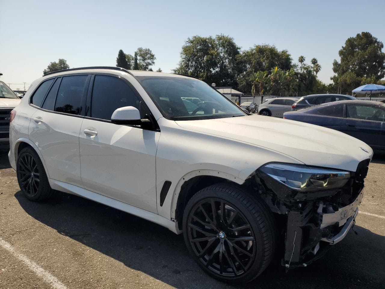 BMW X5 2019 WHITE vin: 5UXCR6C00LLL75275